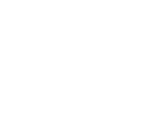 icon tangable asset